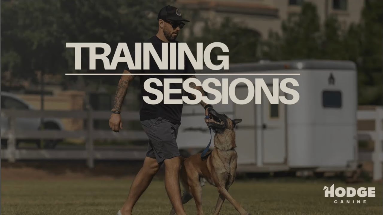 Loki | Training Sessions - 1st session