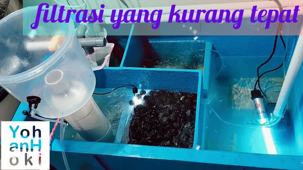 sekilas tentang filtrasi pada Crab House yang saya punya YANG AKHIR NYA BANYAK KEPITING JADI MATI