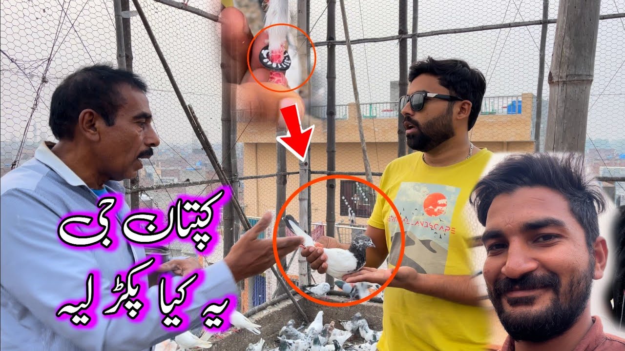 Captain Ji Madi Main Le Kr Jao ga