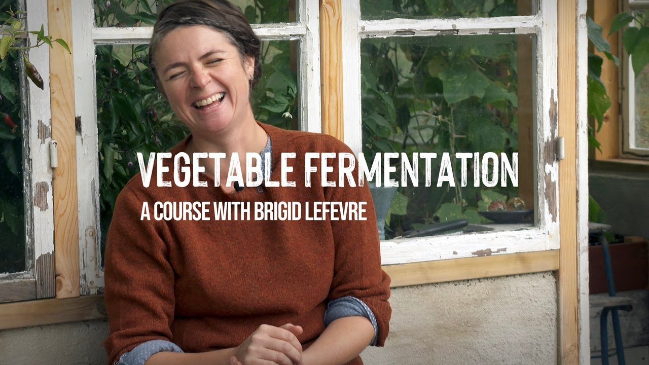 Fermented Vegetables for Beginners | Brigid Lefevre’s Step-by-Step Guide