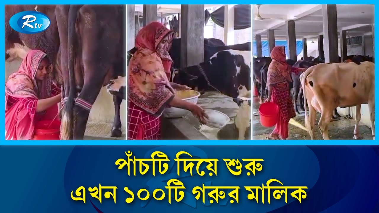 ঋণে কেনা পাঁচ গরুই বদলে দিল ভাগ্য | Dairy Farm | Cow Farming | Bangladesh Agriculture | Rtv News