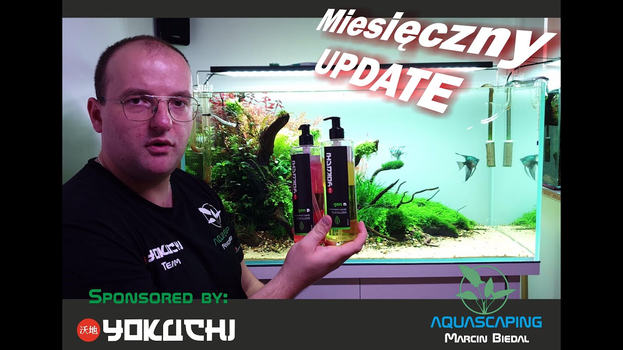 Aktualizacja Klasycznego Akwarium Naturalnego Na Produktach Yokuchi. Każdy powinien to mieć