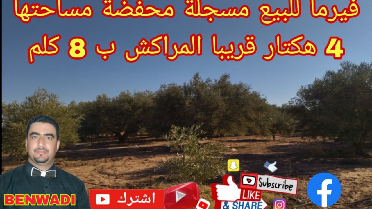فيرما للبيع مسجلة محفضة مساحتها 4 هكتار قريبا المراكش ب 8كلم  فها البأر ديالها ماء موجودثمن 100مليون
