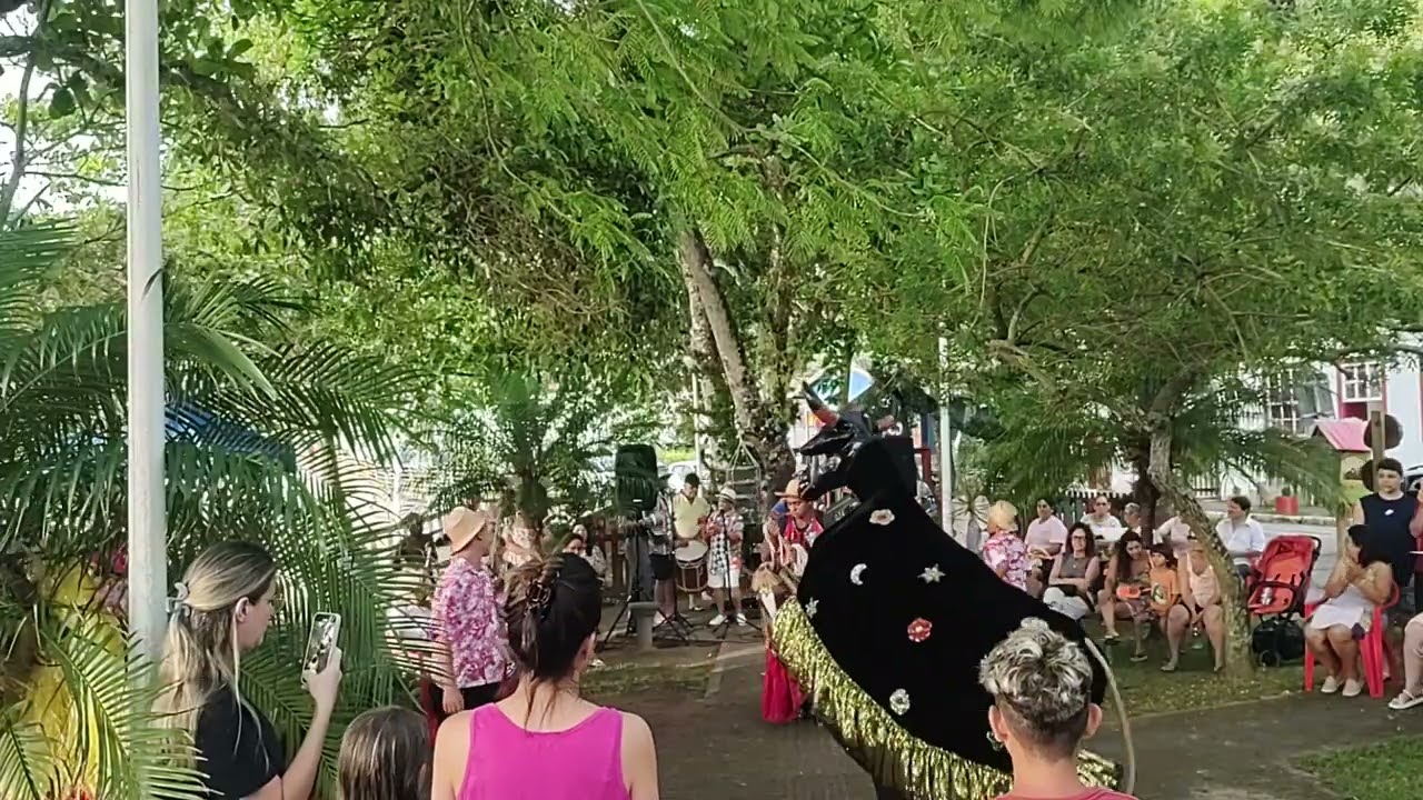 Boi de Mamão de Sambaqui
