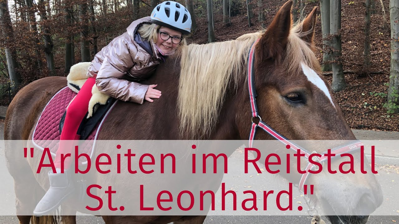 Ein Begegnungsort für Mensch und Tier – Arbeiten im Reitstall St. Leonhard