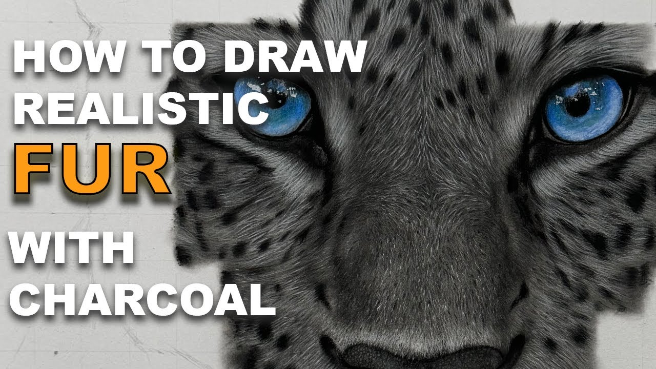 HOW TO DRAW REALISTIC FUR WITH CHARCOAL