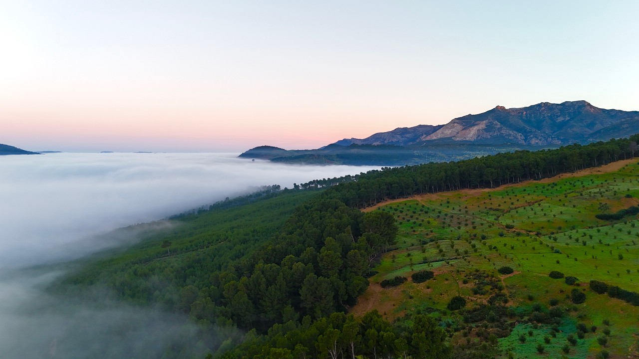 مشهد نادر جدًا… نهر من السحاب يغمر الطبيعة  المغربية. is this really Morocco ? 4k drone