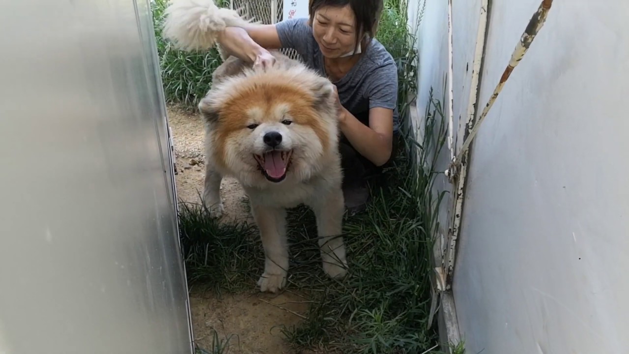 パパっ子大吉くんをママっ子へ！なるかな？