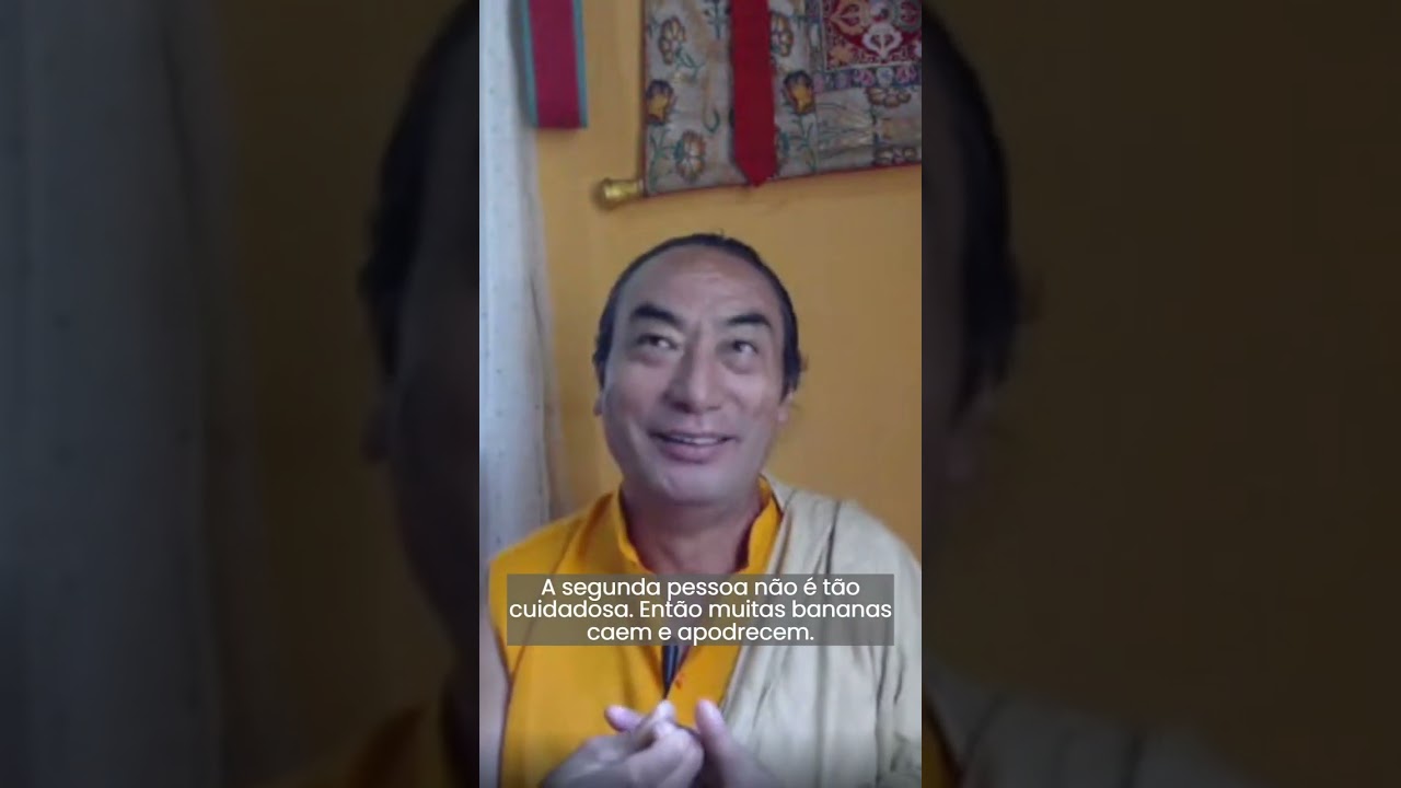 Lama Tibetano Chimed Rigdzin explica como a&ccedil;&otilde;es virtuosas geram b&ecirc;n&ccedil;&atilde;os