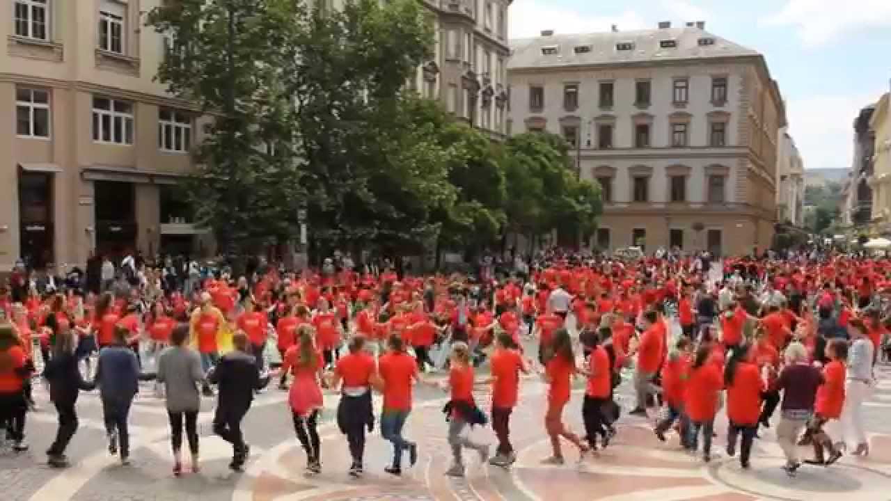 Az iskola közös ügyünk | FLASHMOB 15.05.28 @bazilika