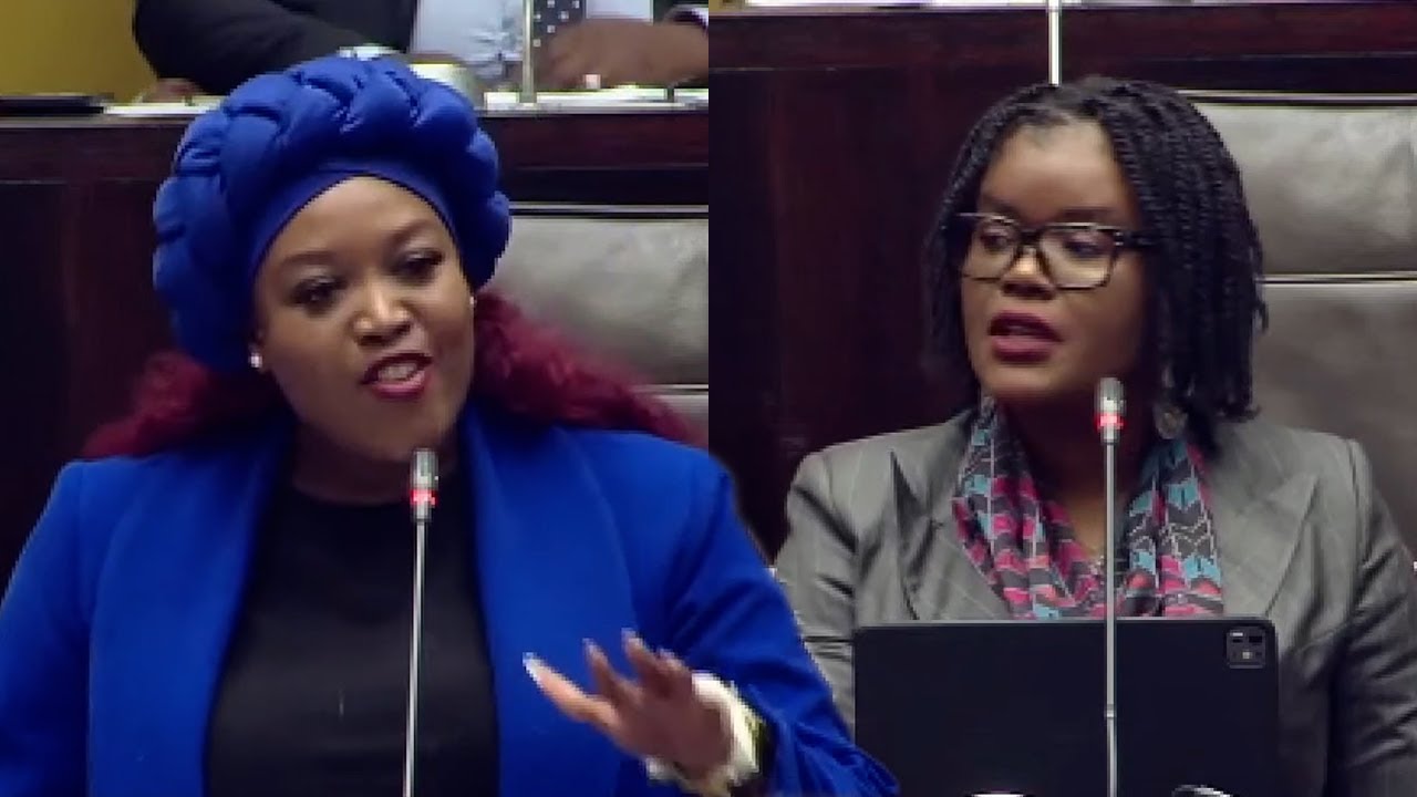 Karabo Khakhau vs ANC “To Them Corruption Is Their Daily Bread, Our Loyalty Is To The People”