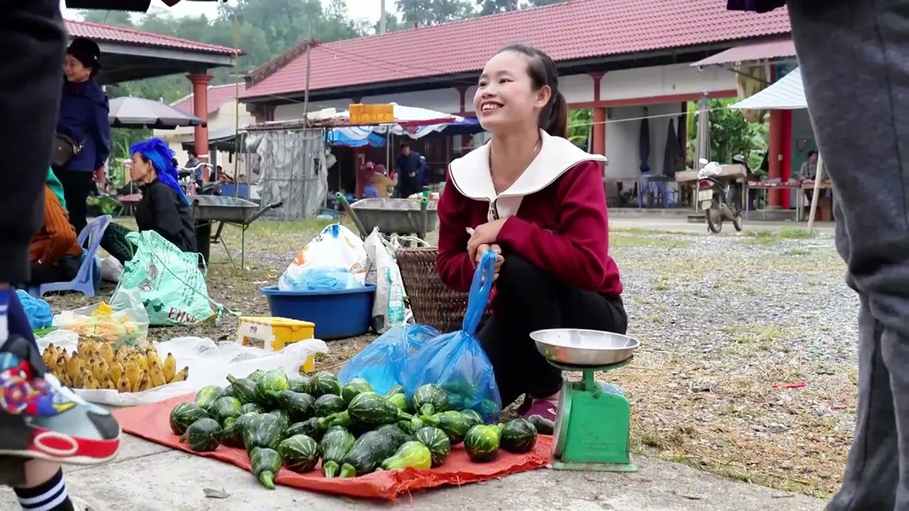 The Story of a Family Losing Money Can Sai Escape the Suspicion Full Video