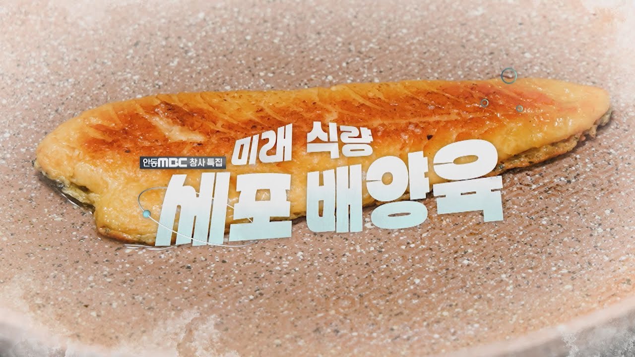 2025.11.6 (목) /다큐 미래 식량, 세포 배양육/ 안동MBC