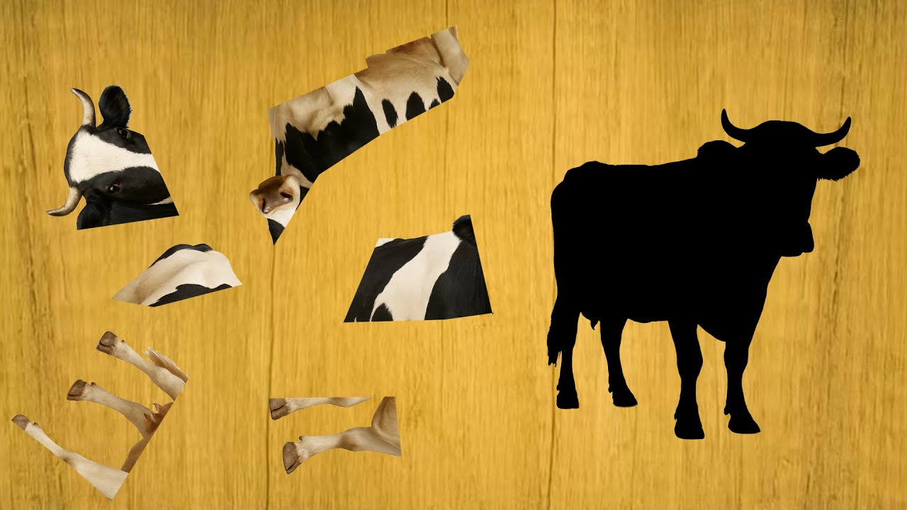 CUTE ANIMALS Cow Puzzle 귀여운 동물 암소 퍼즐
