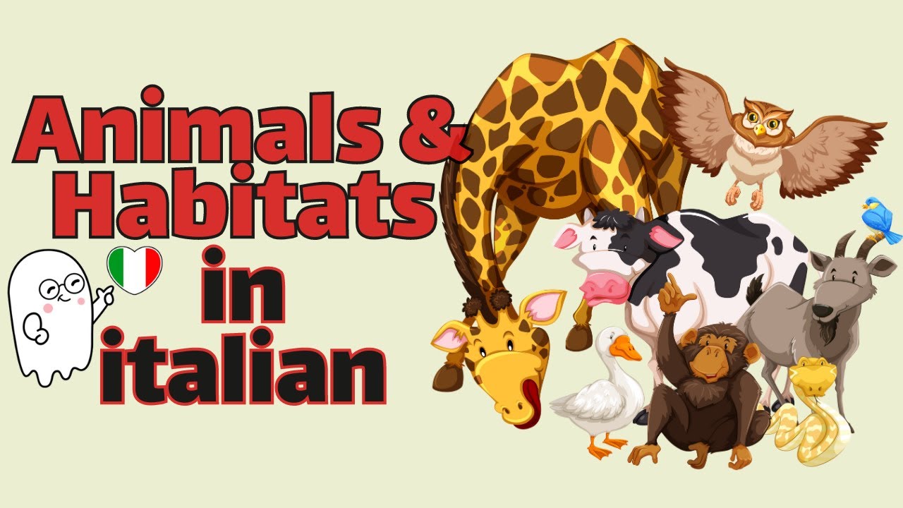 Animal names 🐵🐷🦓🐄🦘and their habitats🏔🏞🏕 in Italian |Italian for beginners | A1|A2|B1|C1 Vocabulary