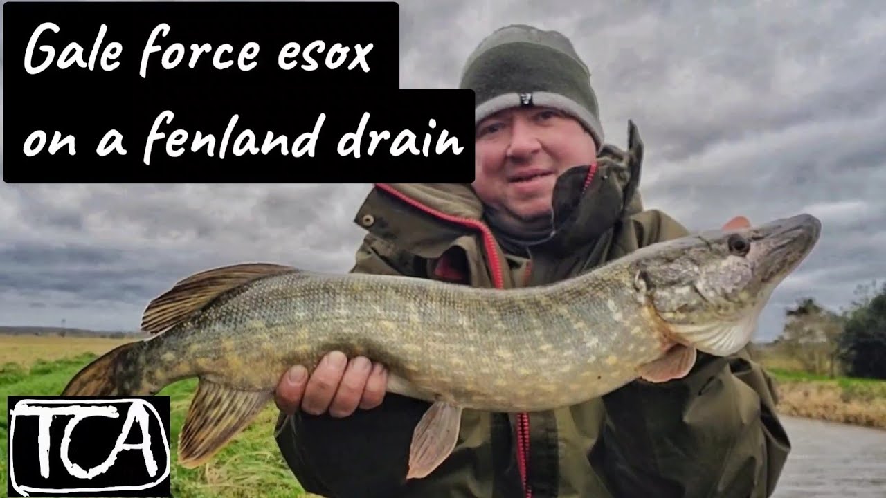 Pike fishing on a fenland drain in gale force winds VID 017