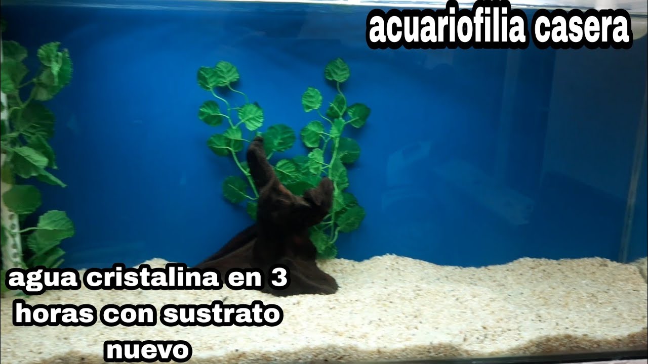 como lavar sustrato nuevo sin gastar mucho tiempo ni mucha agua..