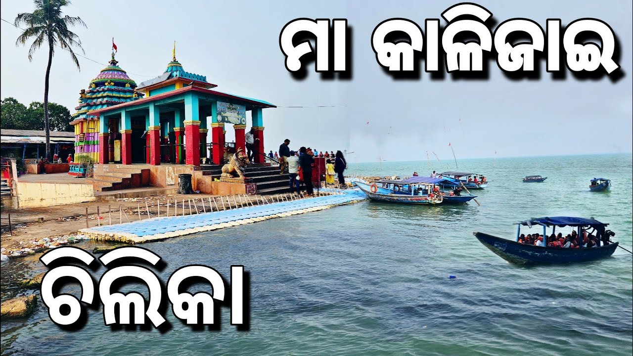 Chilika Lake / Maa kalijai temple / Chilika lake Tour / India's Largest Lake