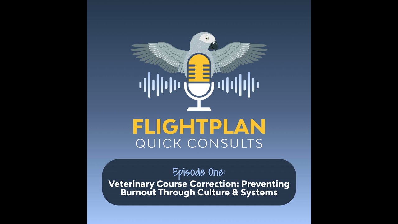 Veterinary Course Correction: Preventing Burnout Through Culture & Systems