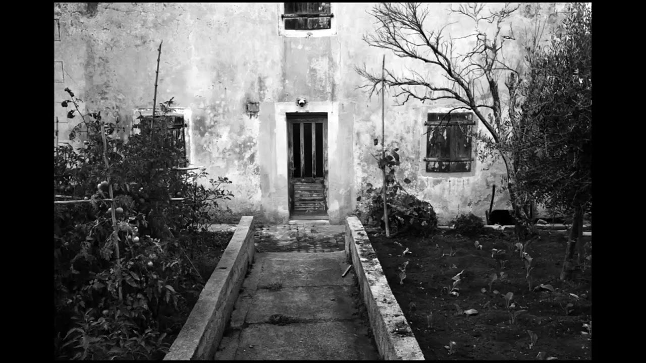 3 mar 26. Transitiamumani. Dafne Malvasi, 