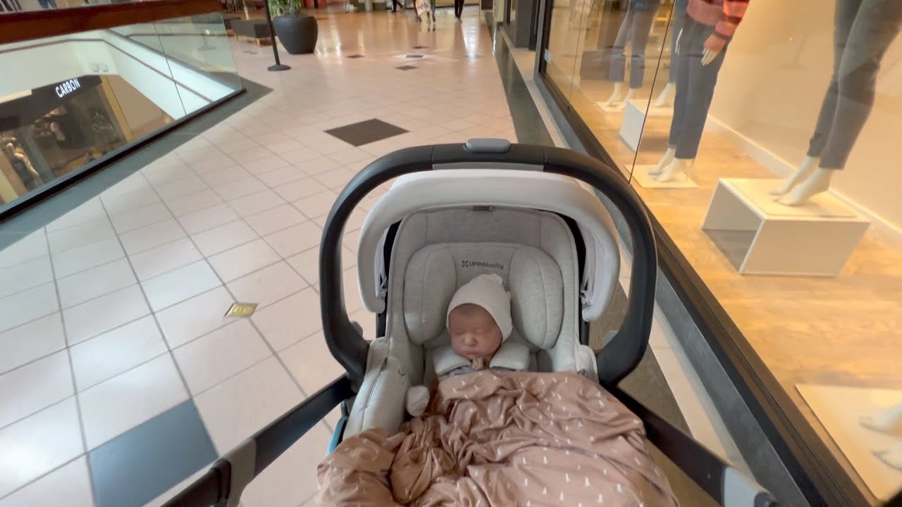 Day Out Shopping W Reborn Doll Jacob! Plus A Haul!
