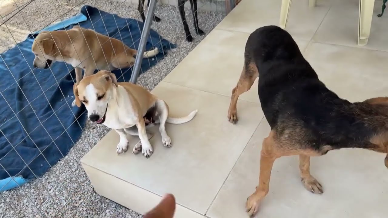 We named the new Girl with the blue eyes Sky! - Takis Shelter