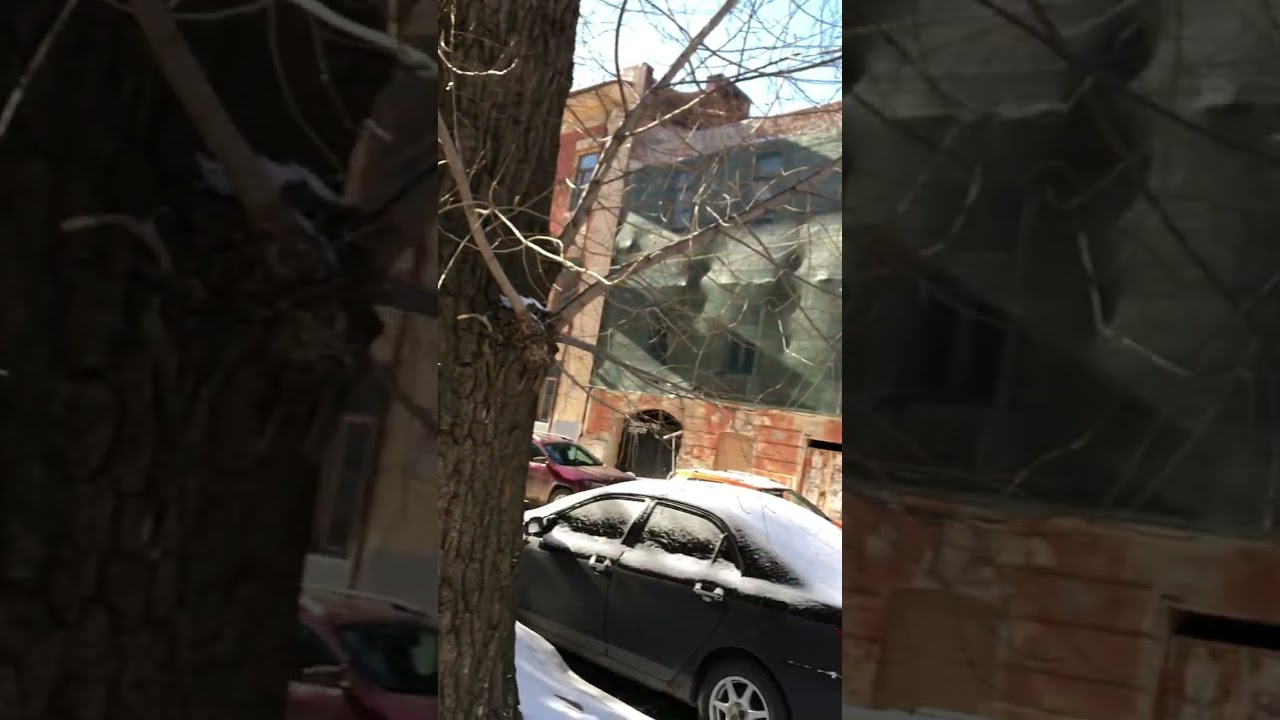 Харків, вулицями міста...Лютий.2026