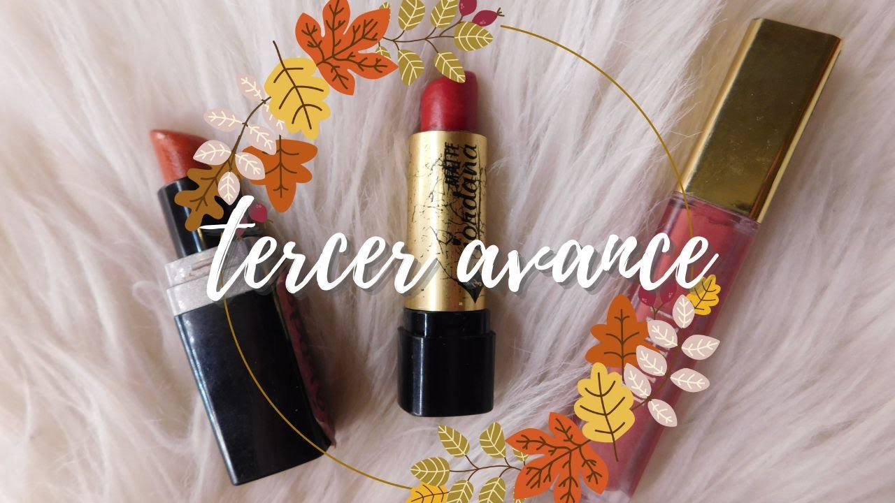 PROYECTO DE LABIALES: TERCER AVANCE