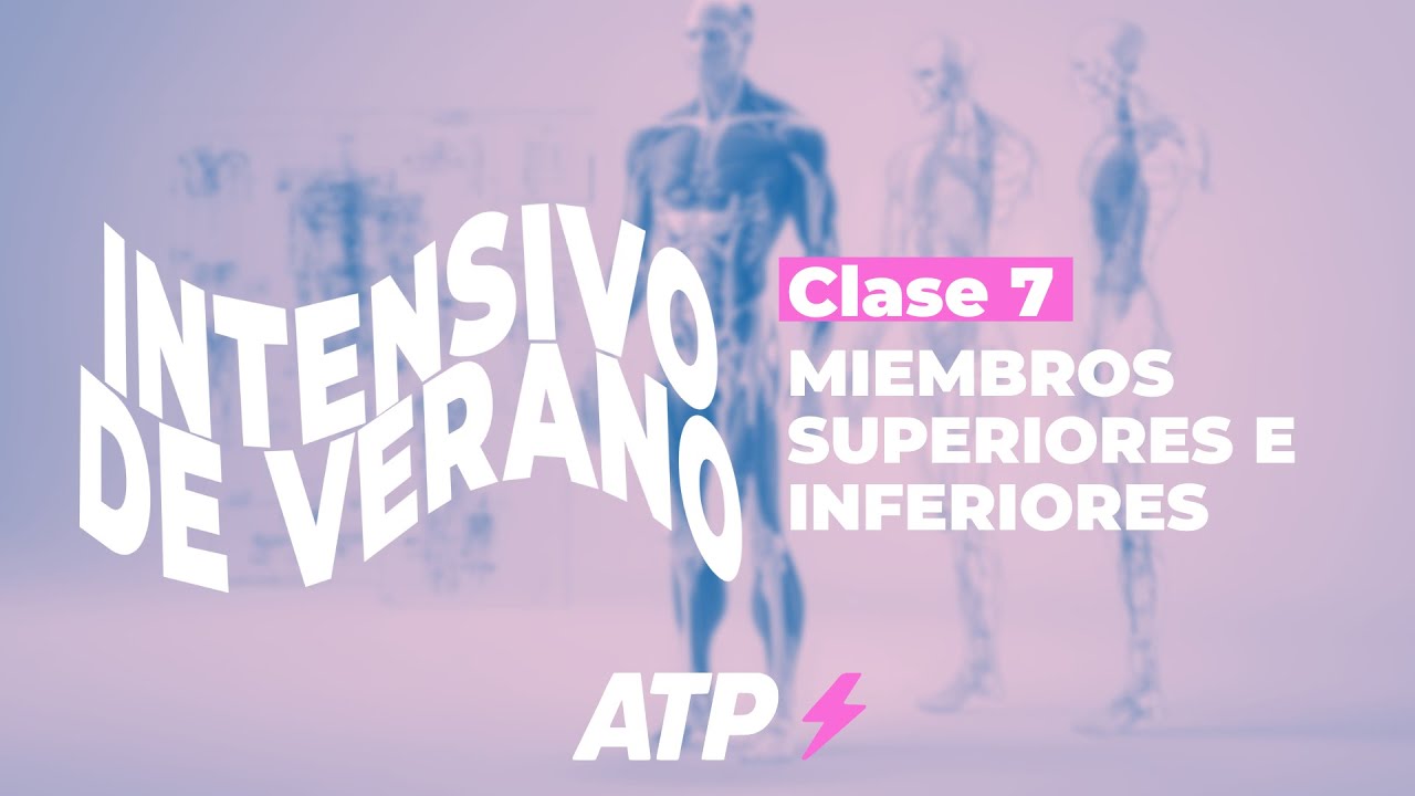 Intensivo CyD | Clase 7: miembros