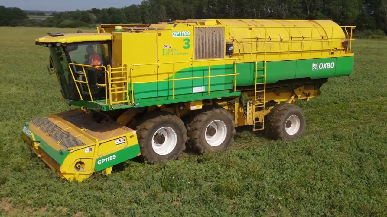 4Kᵁᴴᴰ Harvest 2023: Peas in Suffolk Pt. 2 - APG vining peas & Ploeger Oxbo  & PMC GP1189 harvesters