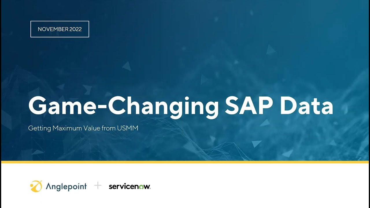Game-Changing SAP Data: Getting Maximum Value from USMM