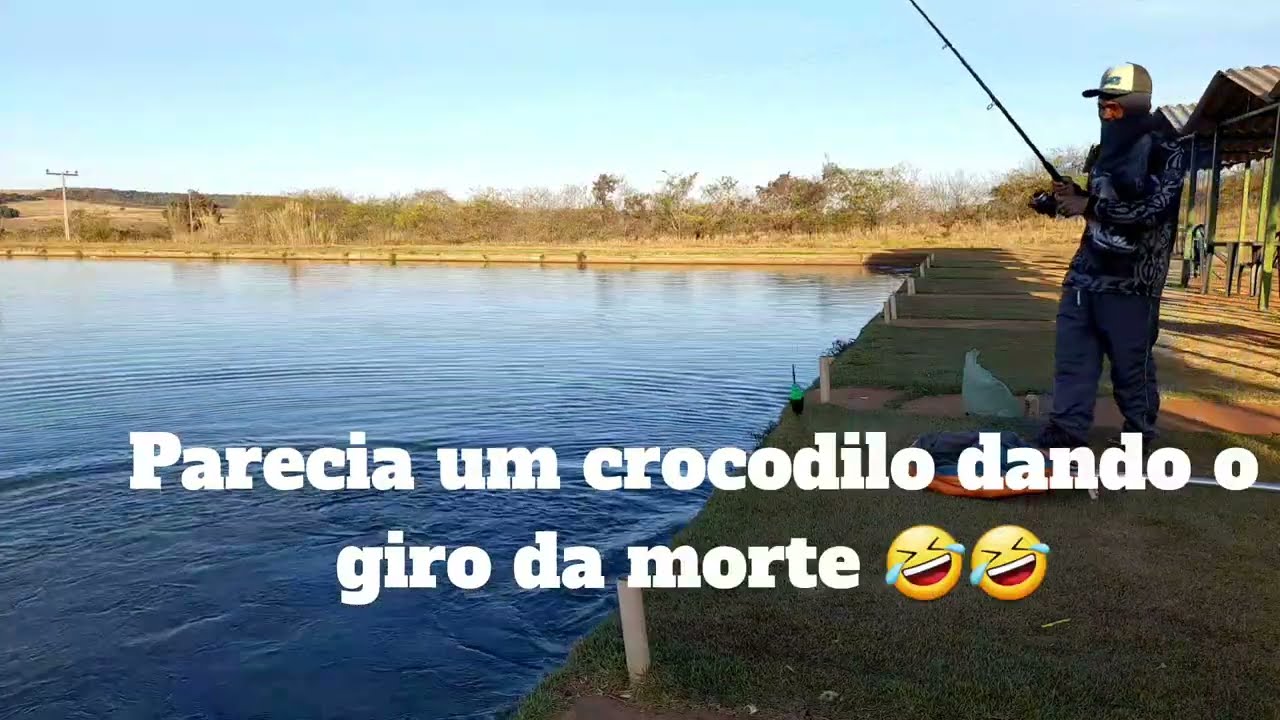 #VIDEONOVO, PEIXES GRANDES E FAMINTOS NESSE PESQUEIRO 