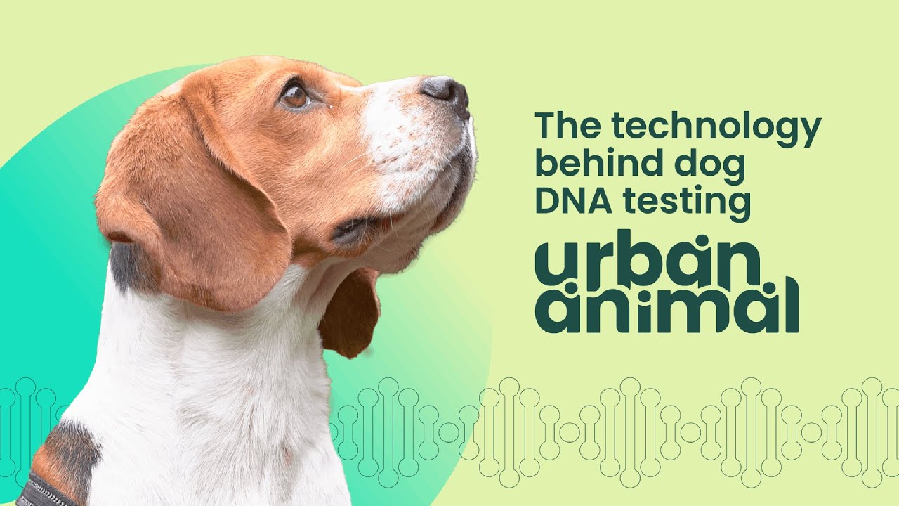 The Science Behind Urban Animal | India's First Dog DNA Test Kit