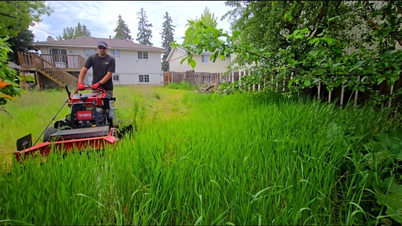Neighbor Watched In DISBELIEF As I Tackled This Overgrown Mess BY MYSELF