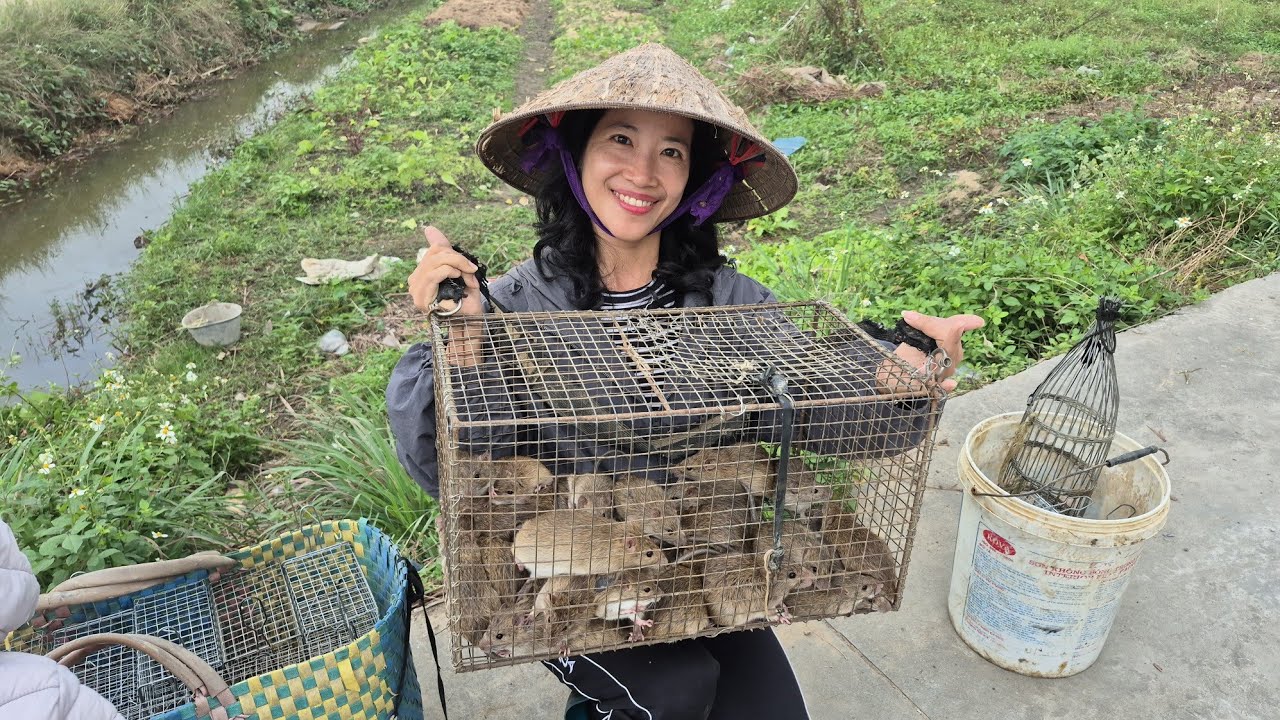 Hai vợ chồng miền bắc bắt chuột đồng buổi sáng tình cờ gặp lại khán giả cũ luôn ủng hộ kênh