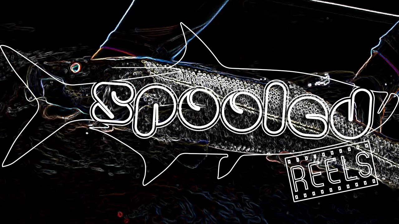 Dock Light Snook on Fly 
