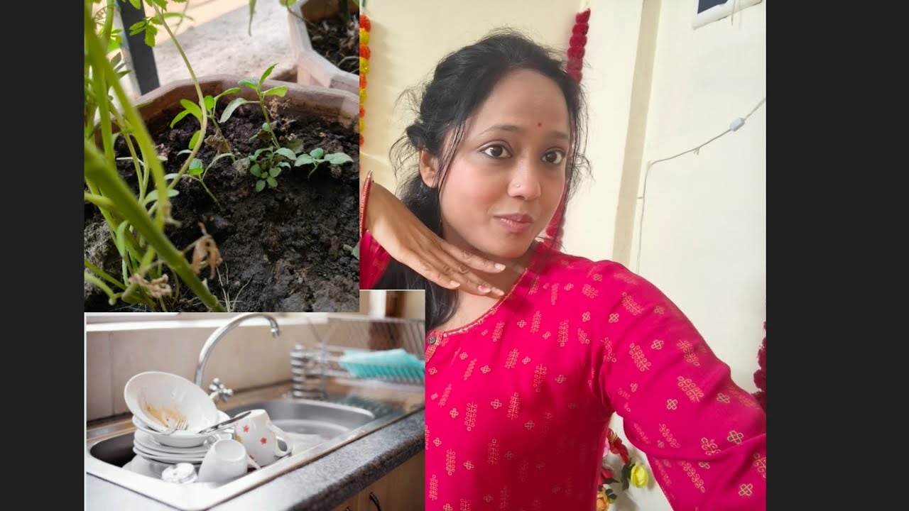 Household 🫣+my plants ☘️🙂‍↕️🍀