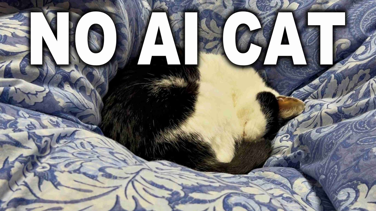 Even the smallest step is progress. 🌱 Calm Lo-fi Beats for Study, Focus