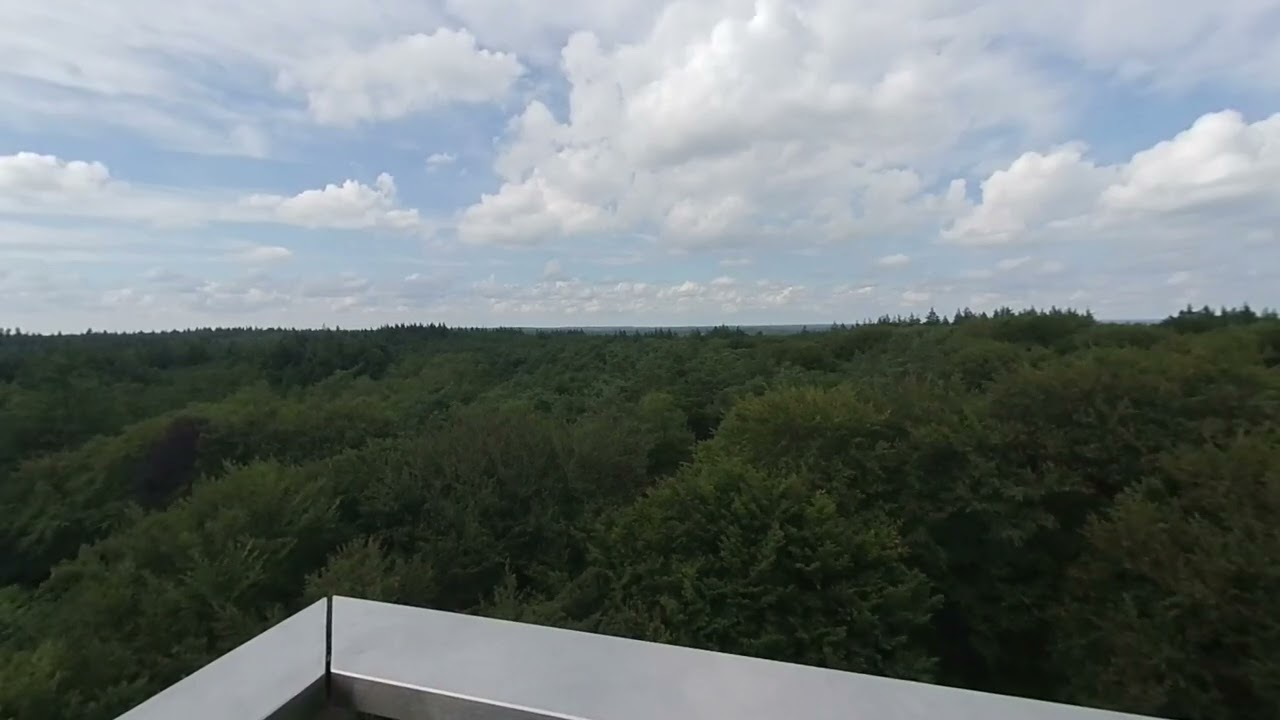 VR180 Hike in Kaapse Bossen, NL
