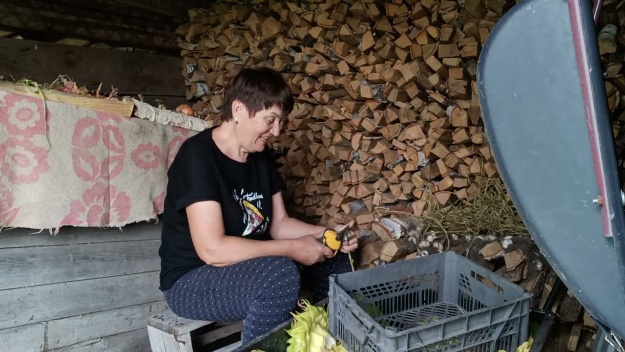 Выбила подсолнухи/Деревенская жизнь/ Семечки есть, зубов нет😀🤦