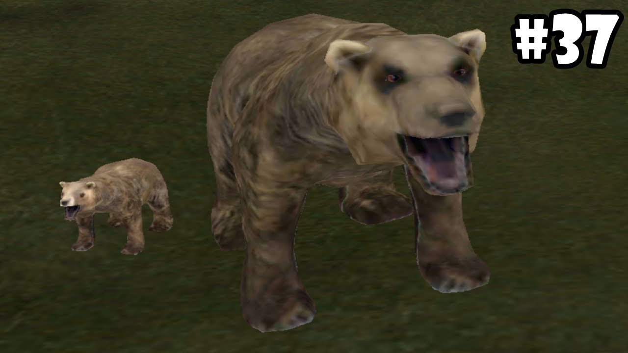 Wild Animals Online - Bear - Android/iOS - Gameplay Episode 37