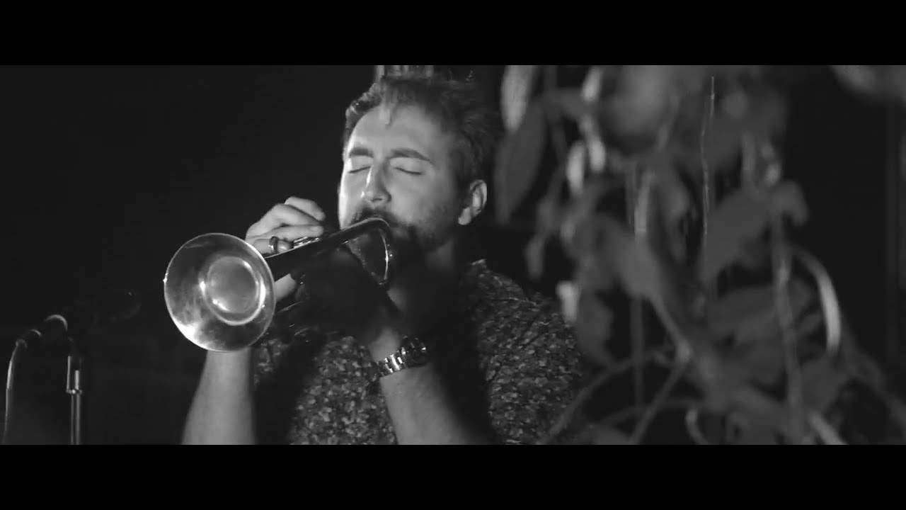 Parrotfish - Stay (Official Music Video)