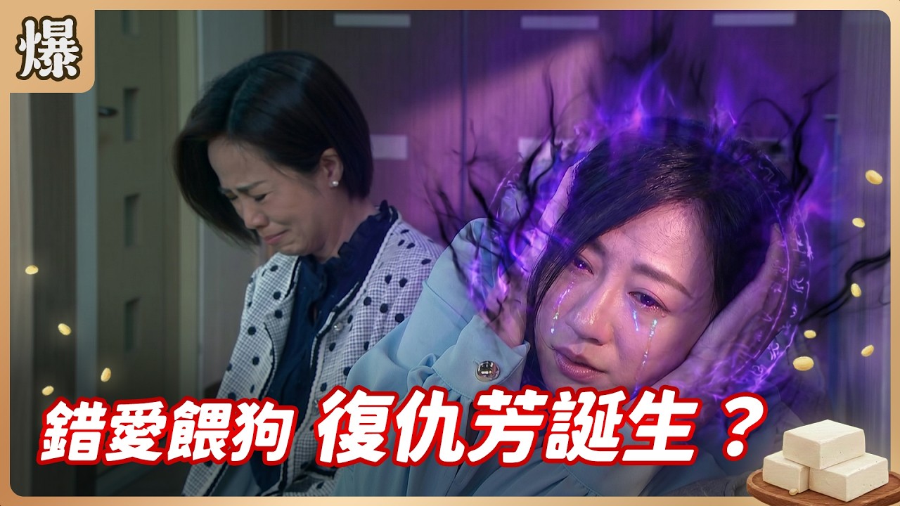 《八點檔搶先爆》豆腐媽媽 EP80 錯愛餵狗 復仇芳誕生？