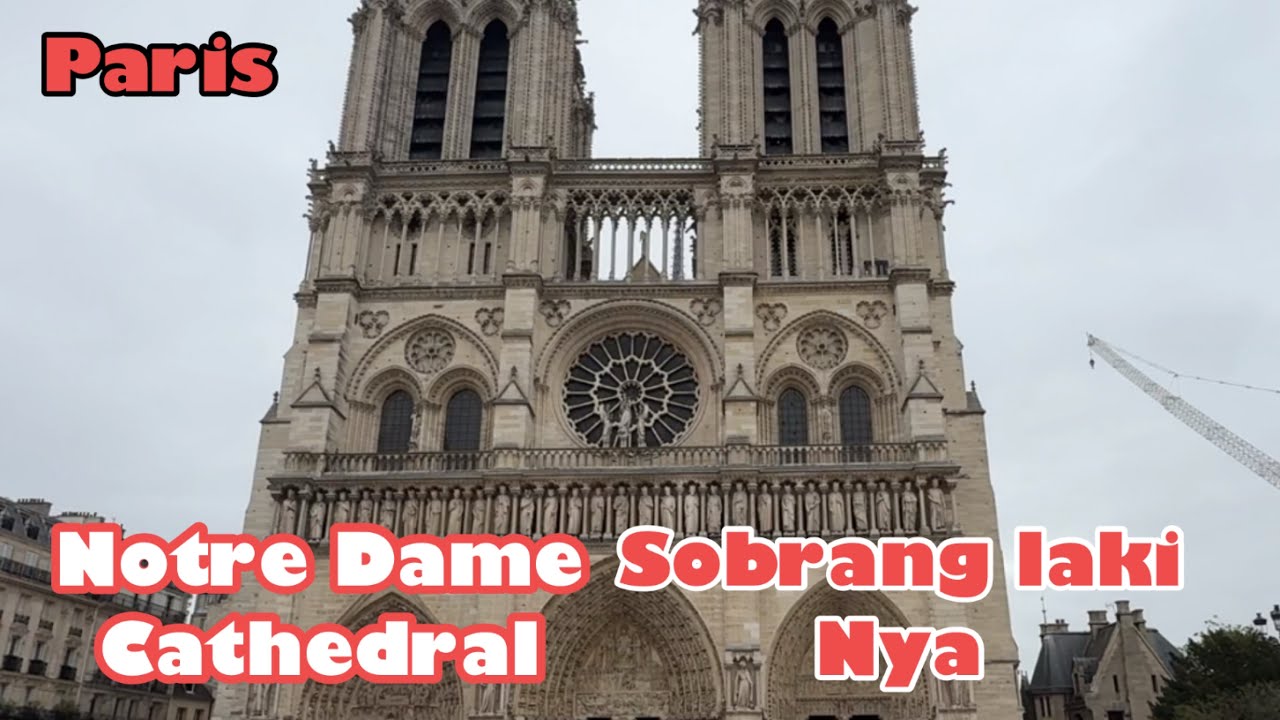 15)Notre Dame Cathedral | Paris France