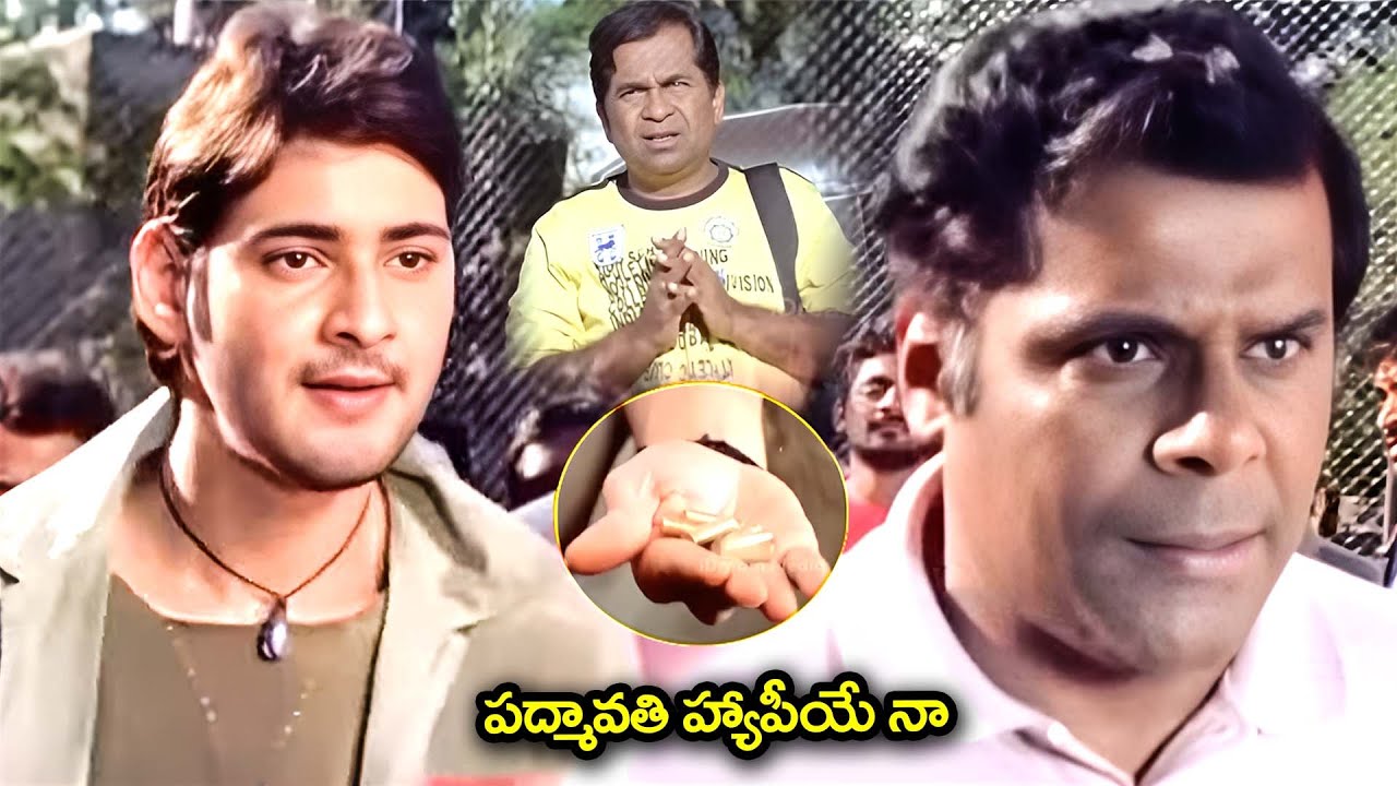 పద్మావతి హ్యాపీయే నా | Pokiri Movie Mahesh Babu Power Full Action Scene | @idreamkadapa