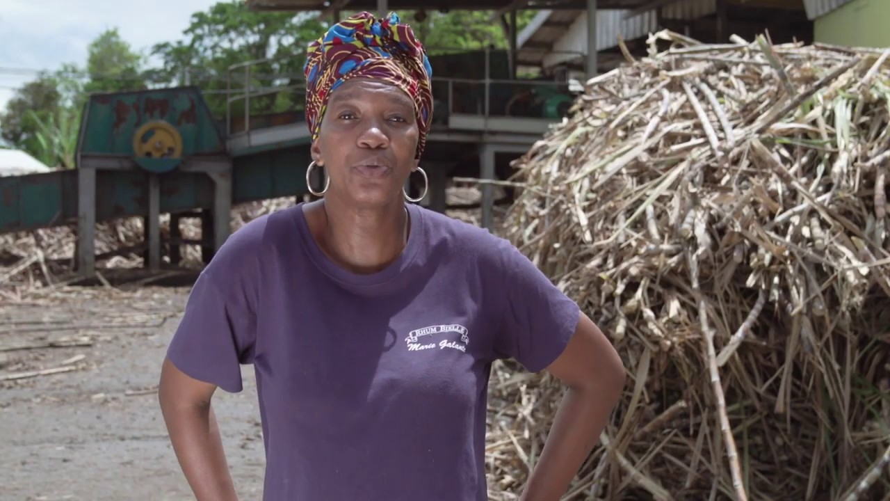 Découvrez la distillerie Bielle à Marie Galante
