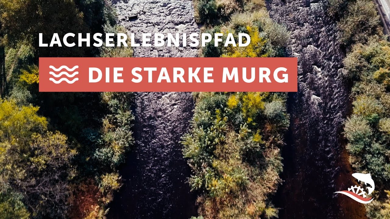 Lachs Erlebnis Pfad im Murgtal - die starke Murg im Rampenlicht