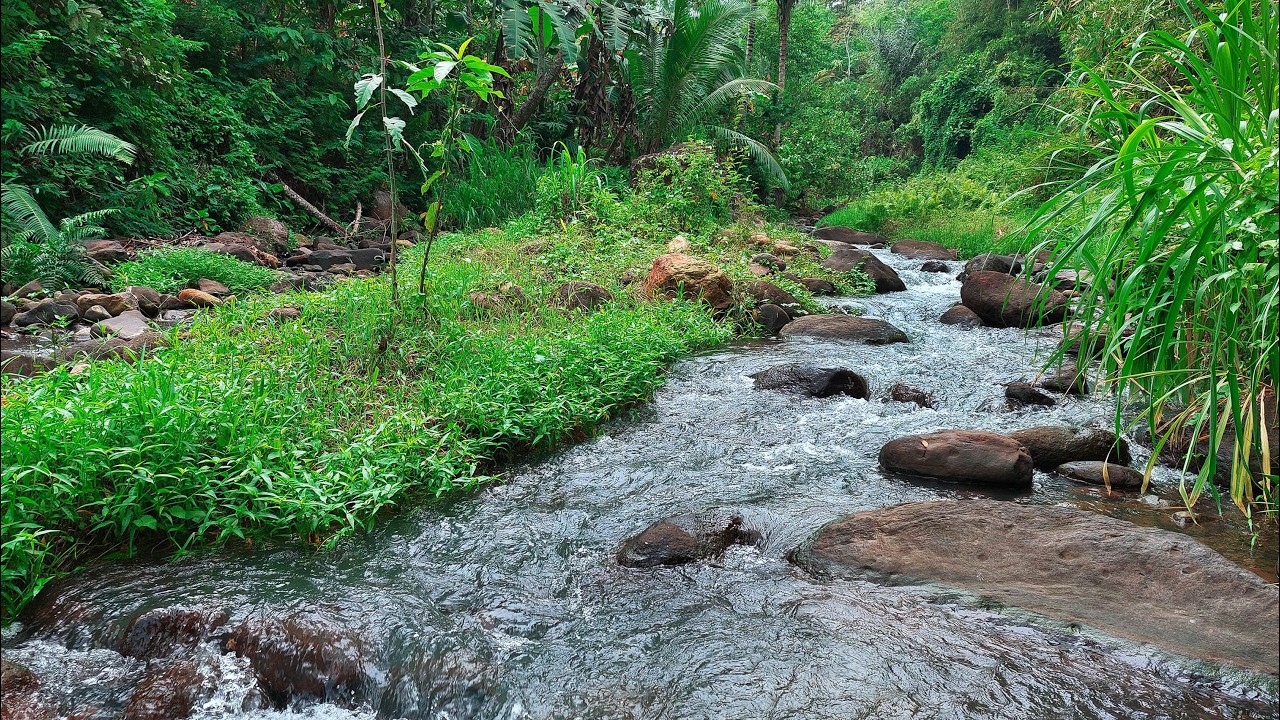 Goodbye Sadness to Sleep Instantly with Close-Up Water Stream Sounds that Lead You To Peace
