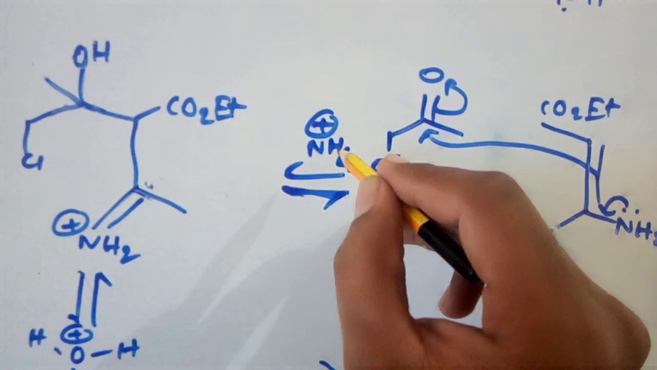 Hantzsch  Pyrrole Synthesis
