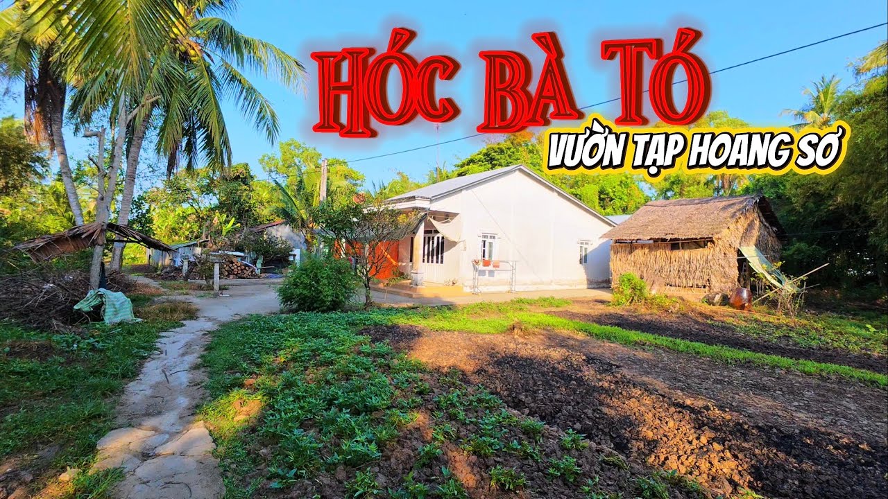 Lạc Vào Khu Xóm Nhỏ, Chỉ Có Đường Đi Tạm Bợ, Khám Phá Ấp Năm Hải, Long Thạnh, Giồng Riềng